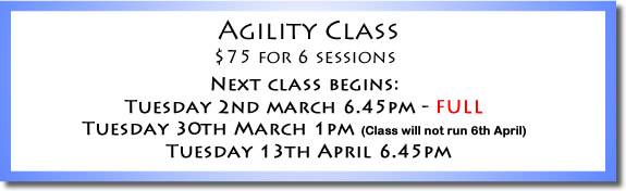 Agility Class Price