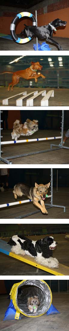 Agility
