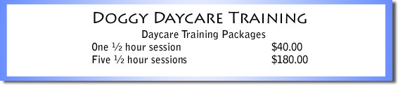 Doggy Daycare Training Price