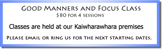 Good Manners Class Dates