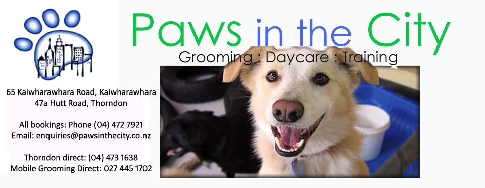Paws in the City