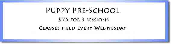 Puppy Pre-School Price